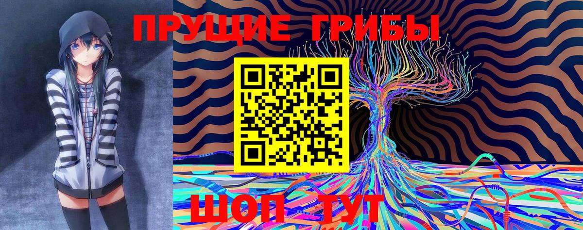 Галлюциногенные грибы Psilocybine cubensis Верхняя Салда